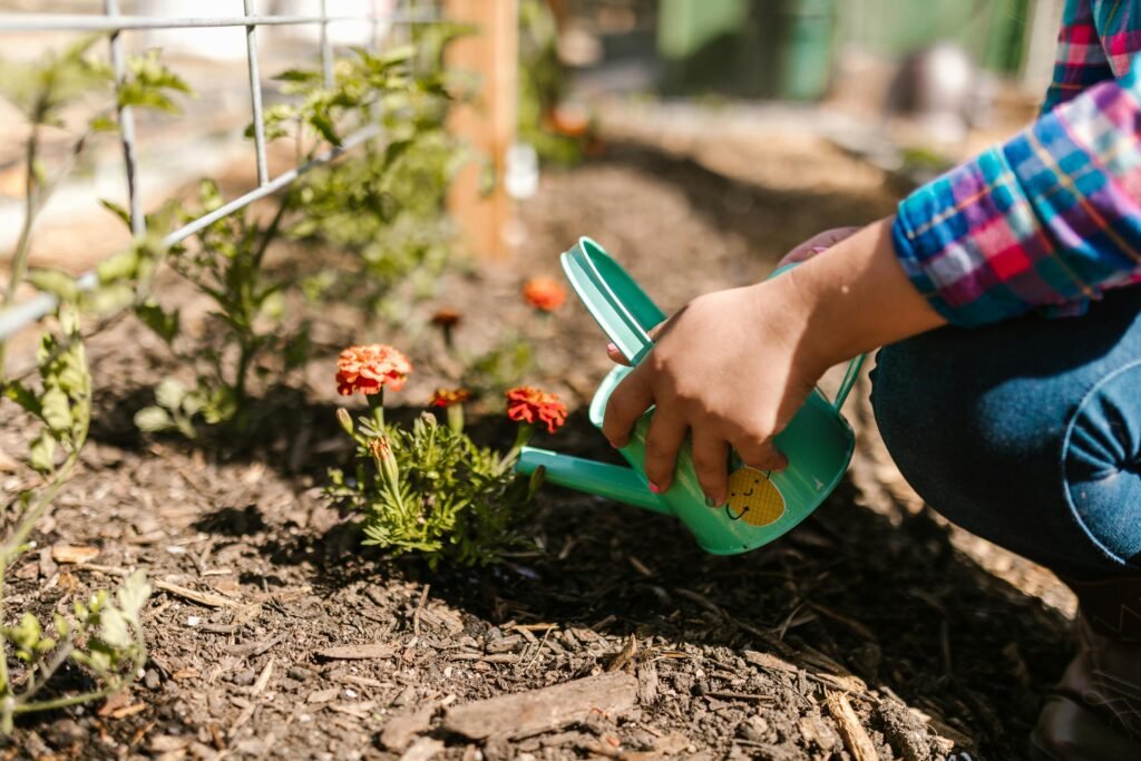 Garden with bright orange floers and green watering can.